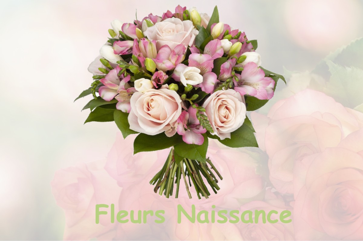 fleurs naissance COMMERCY